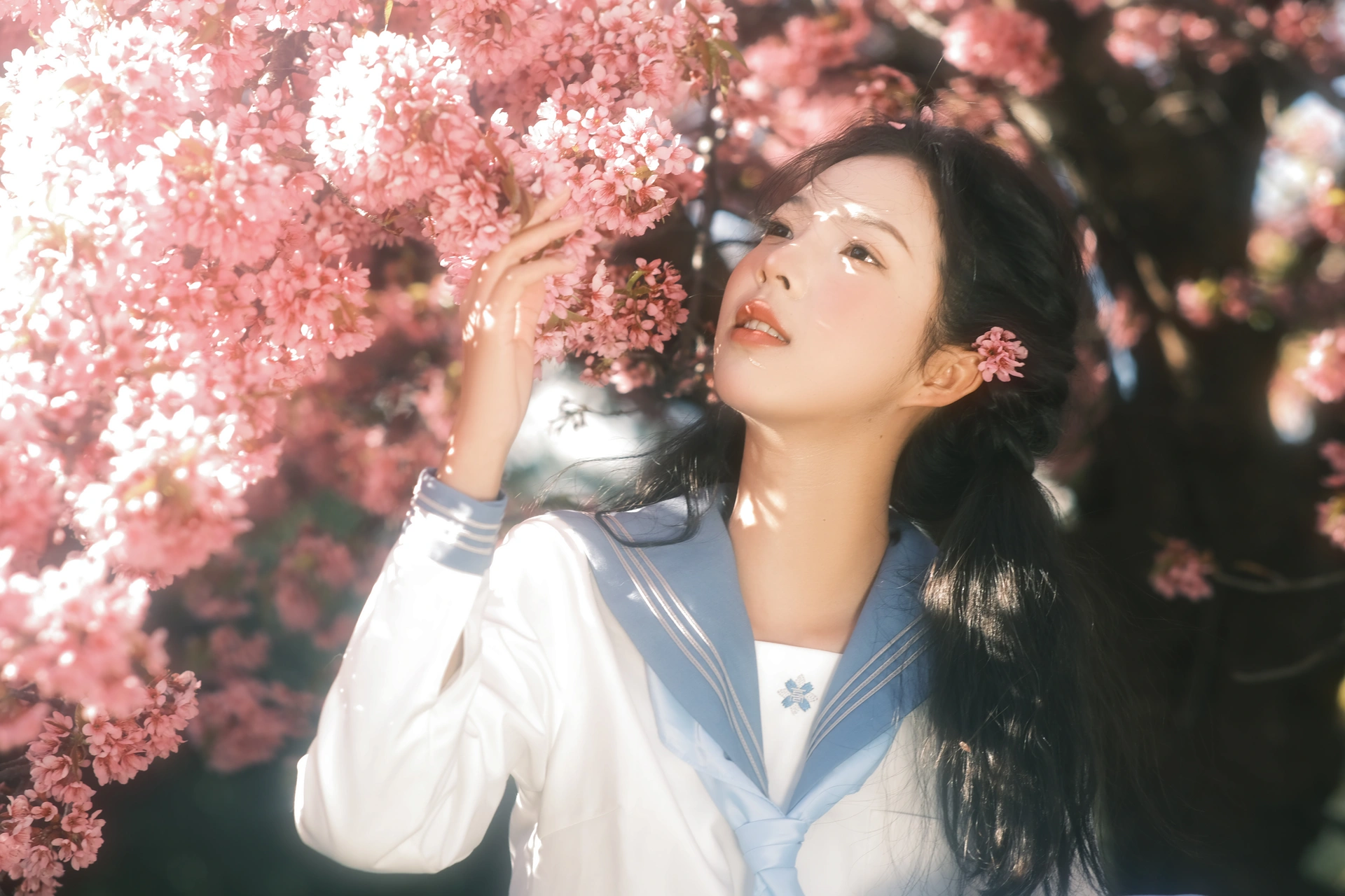 [YITUYU艺图语]2025.02.15 幸得樱花三月雨 乐意李 1