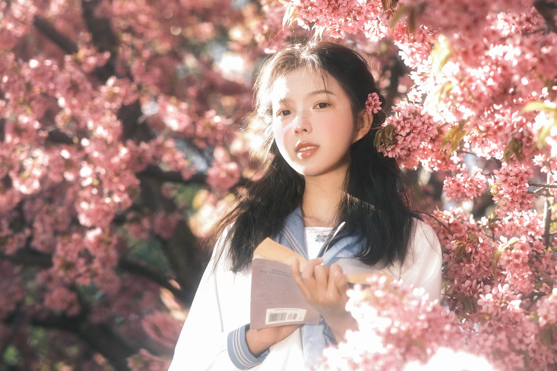 [YITUYU艺图语]2025.02.15 幸得樱花三月雨 乐意李 2