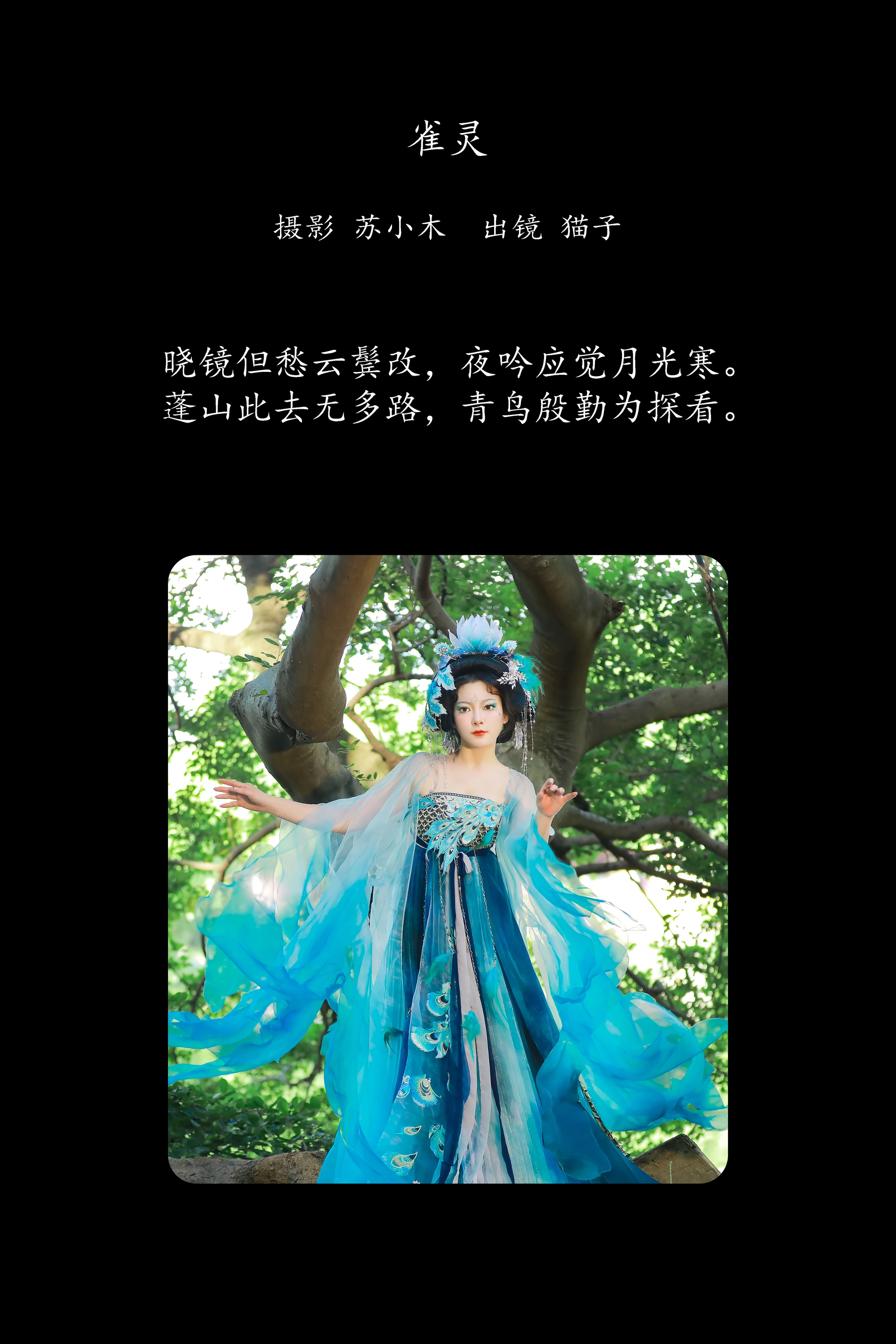 [YITUYU艺图语]2025.02.15 雀灵 猫子子 0